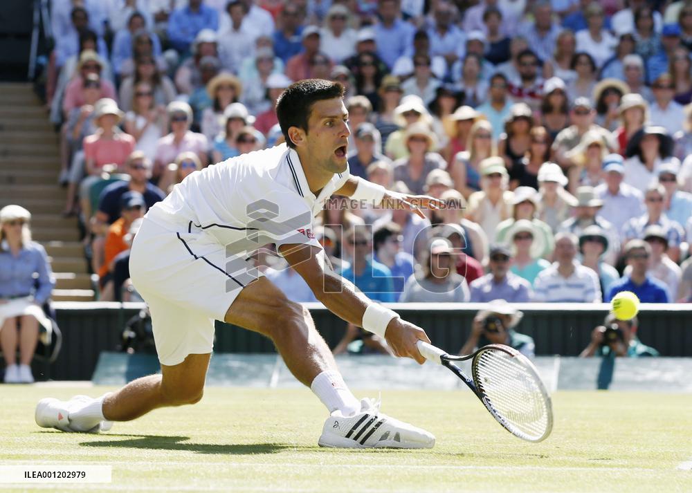 Djokovic, Federer to play in Wimbledon final