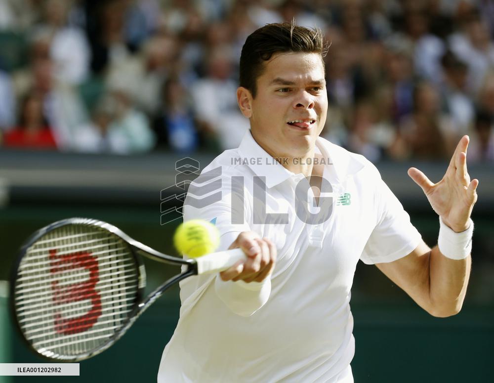 Djokovic, Federer to play in Wimbledon final