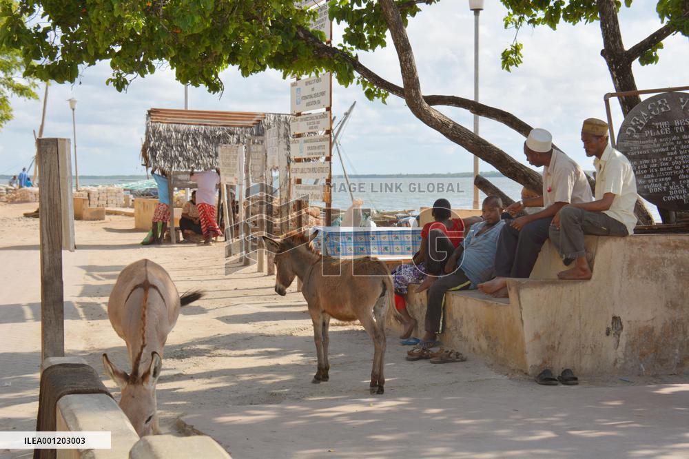 Tourism in Kenya hit by terrorism