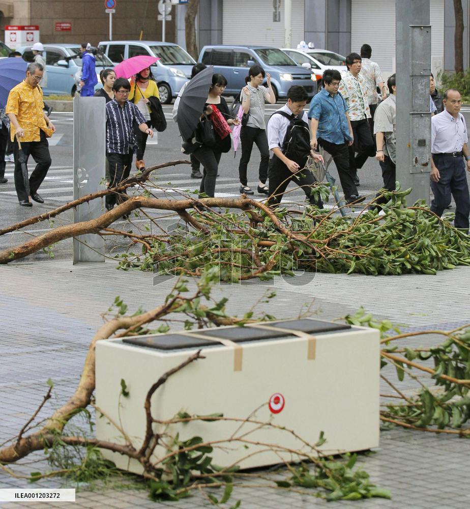 Fallen trees in Naha due to influence of typhoon
