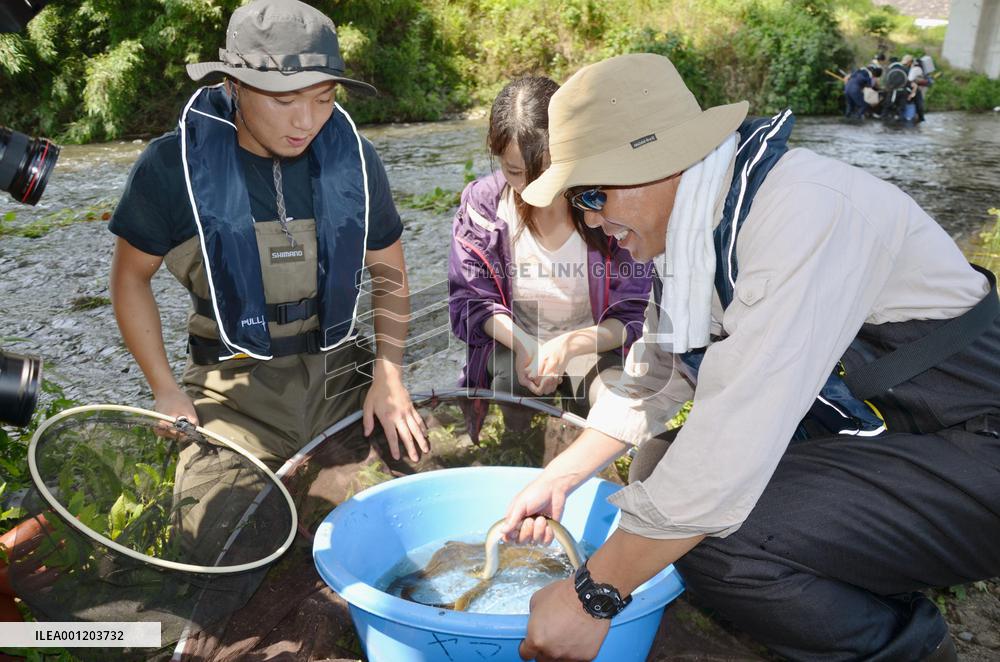 Researcher conducting eel studies