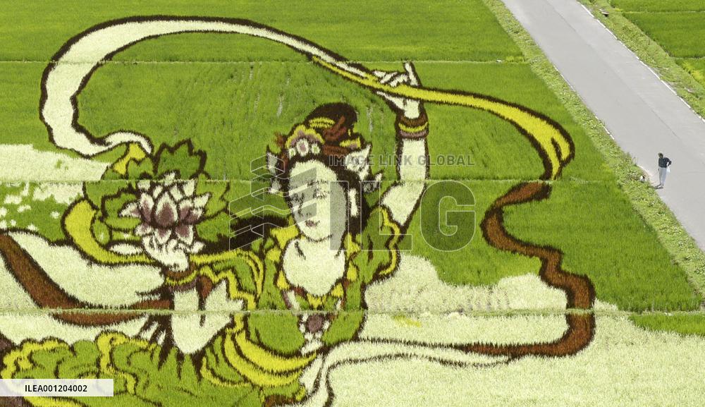 Rice paddy art in Aomori Pref.