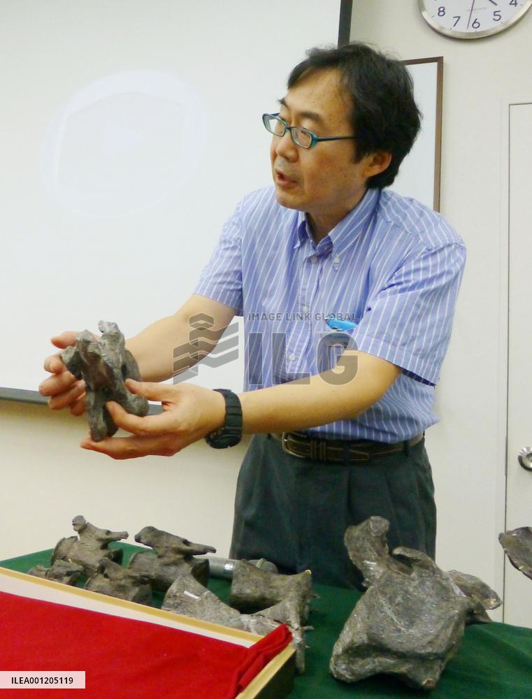 New genus, species of titanosaur found in Hyogo