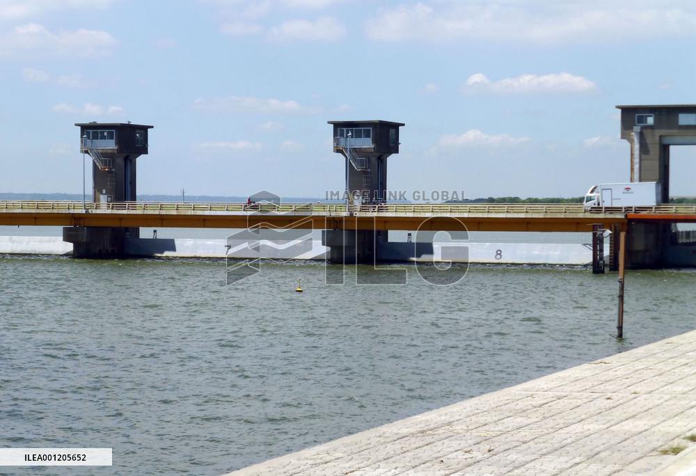 River floodgate blamed for sagging eel population