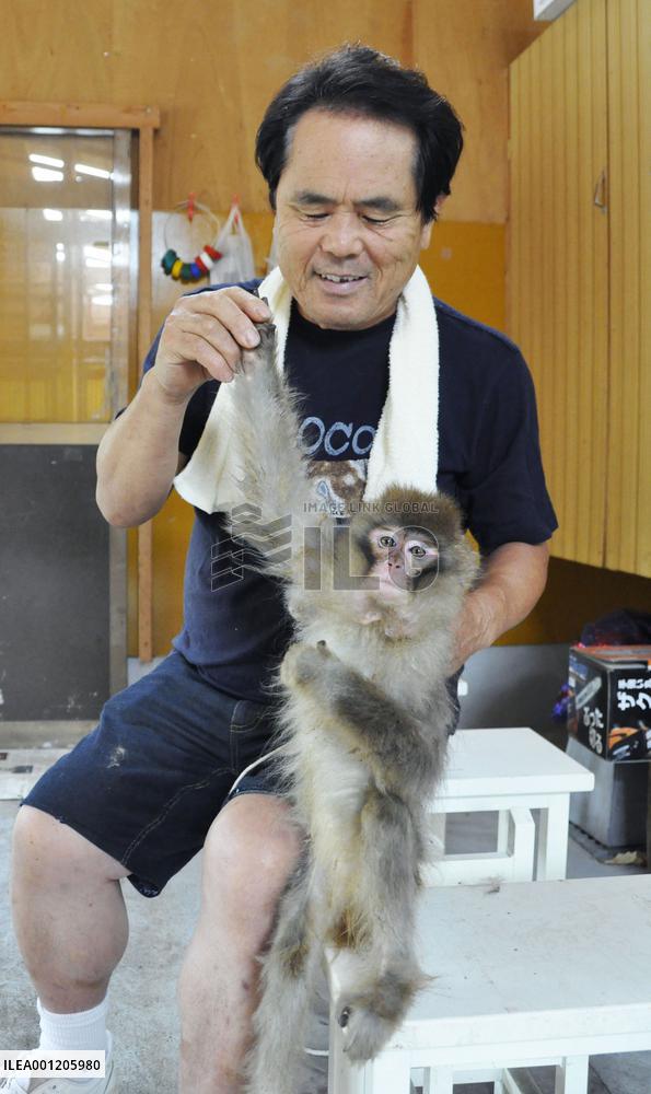 Japanese monkey troupe set for performance in China