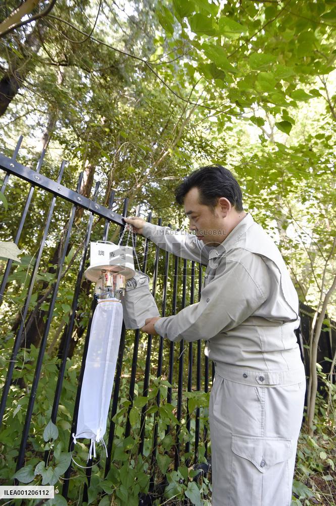 Mosquito traps out in Yoyogi Park as dengue fever numbers rise