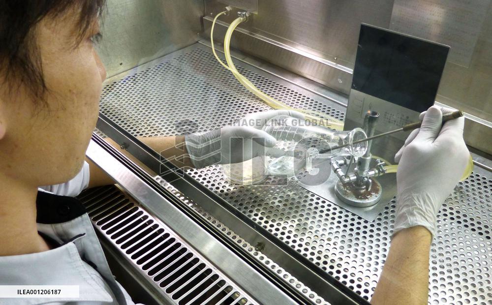 Enzyme dissolving polyvinyl alcohol cultured