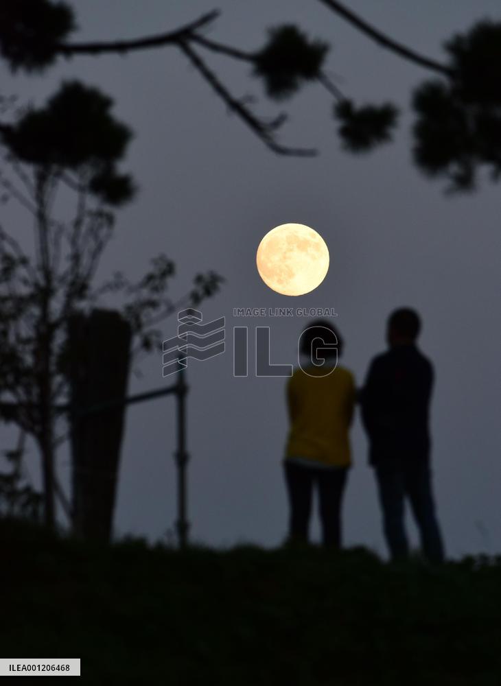 Harvest moon in tsunami-hit area