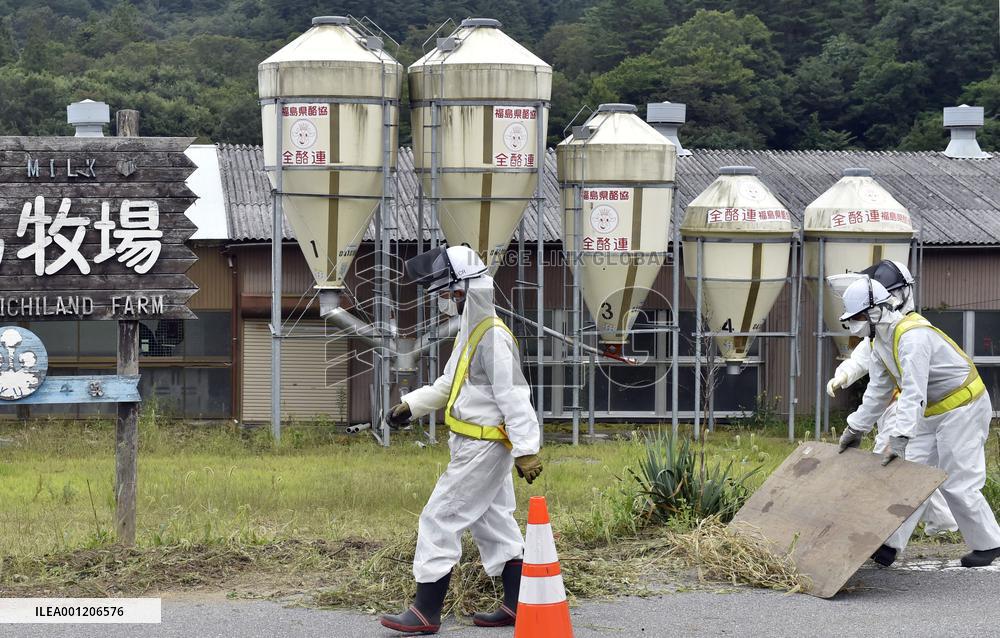 Cleanup work near pasture in town affected by nuke disaster