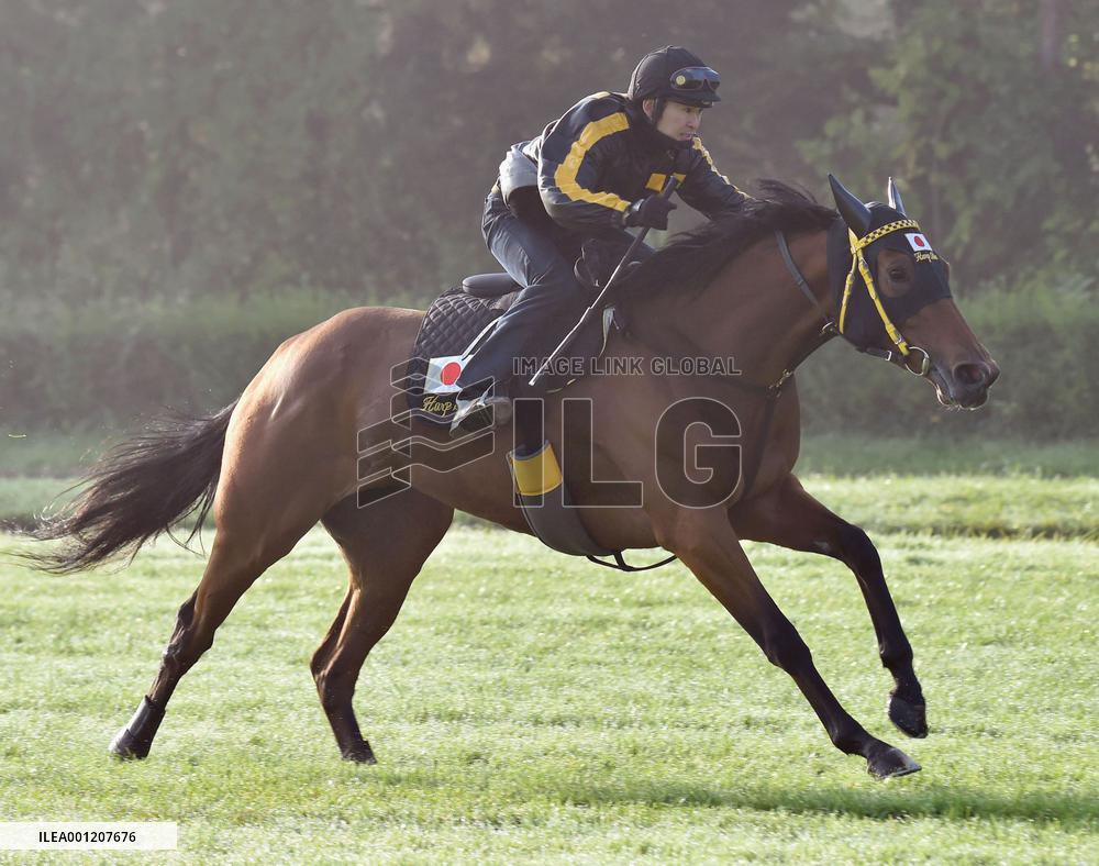 Japanese horse Harp Star practices for l'Arc de Triomphe