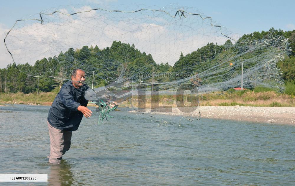 Man casts fishing net to catch salmon in Fukushima river