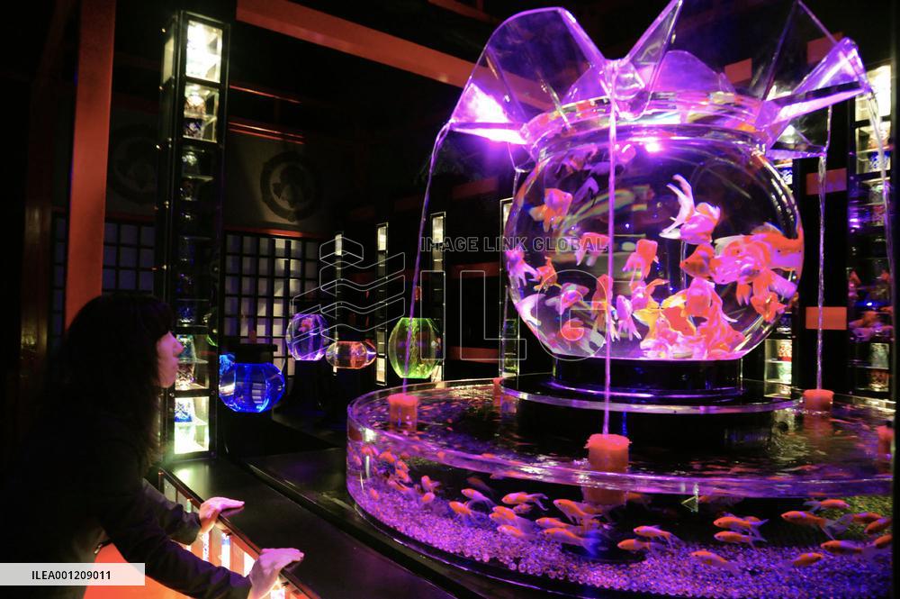 Artistic fishbowl exhibition at Kyoto castle