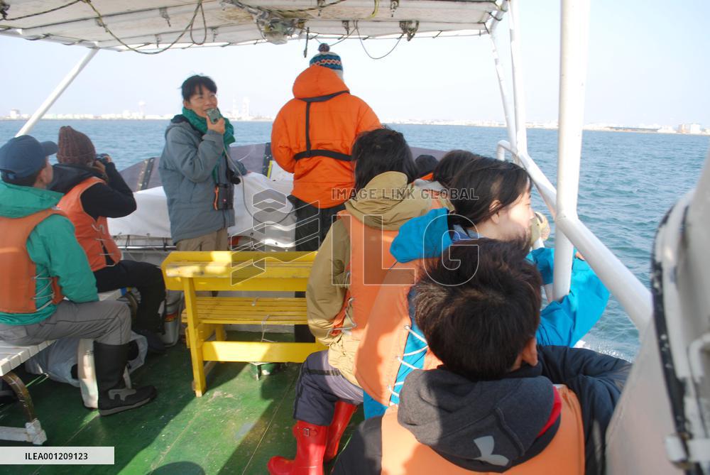 Citizens join ecological survey of whales off north Japan