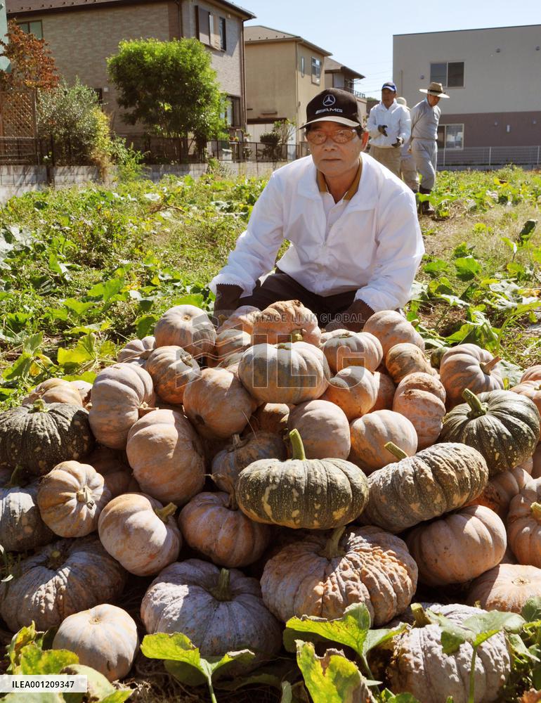 Farmers harvest pumpkins grown from seeds back from space