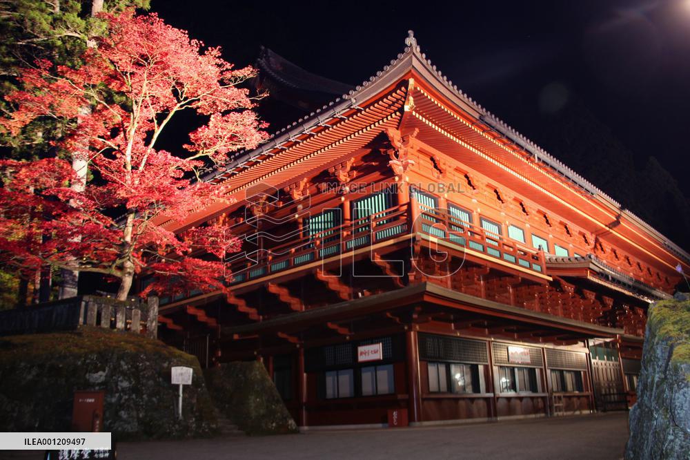 Nikko's World Heritage temple partially lit up