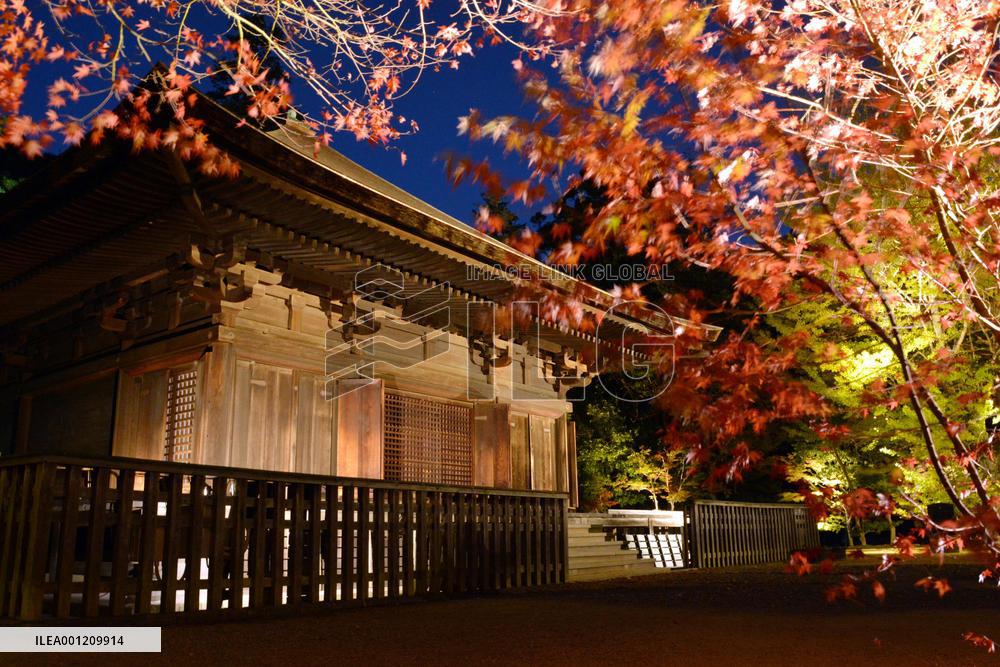 National treasure Amitabha hall, leaves lit up