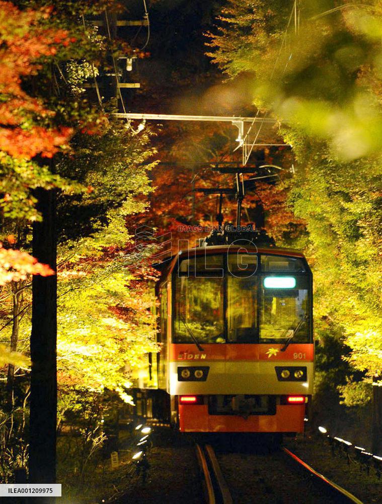 Kyoto train running through 'fall foliage tunnel'