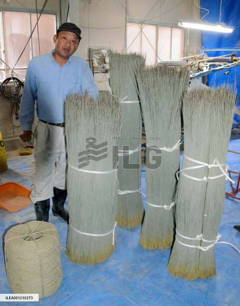 Rush plant grower seeks new market beyond 'tatami' mats