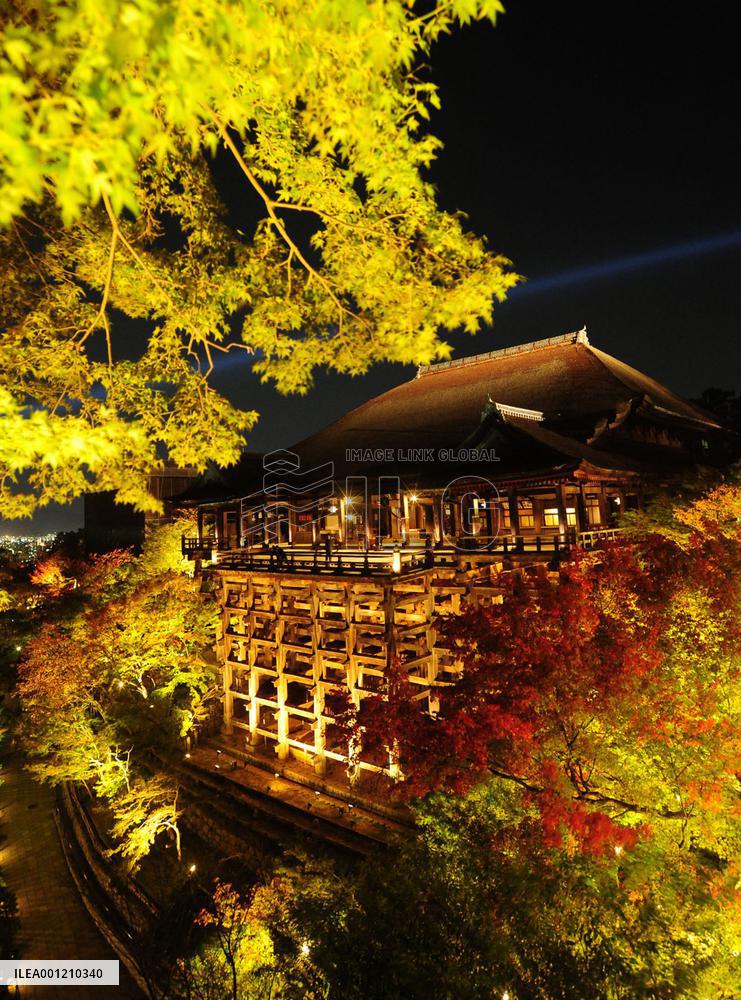 Kyoto's Kiyomizu temple lit up