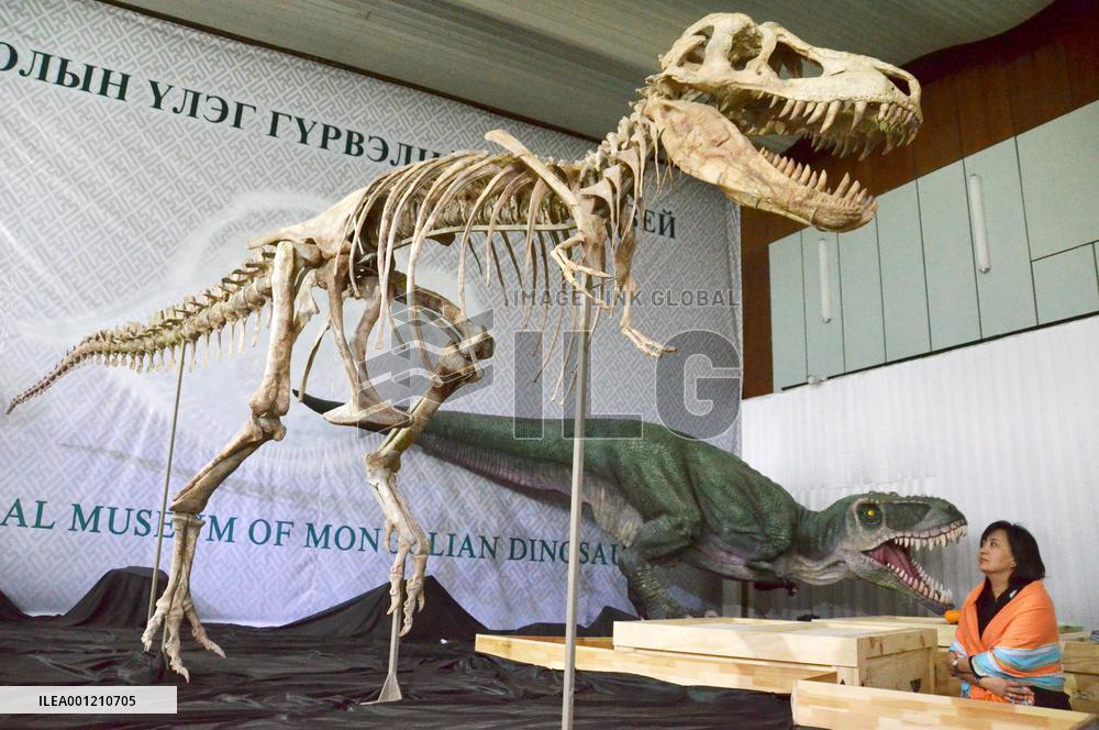 Tarbosaurus fossil returns to Mongolia