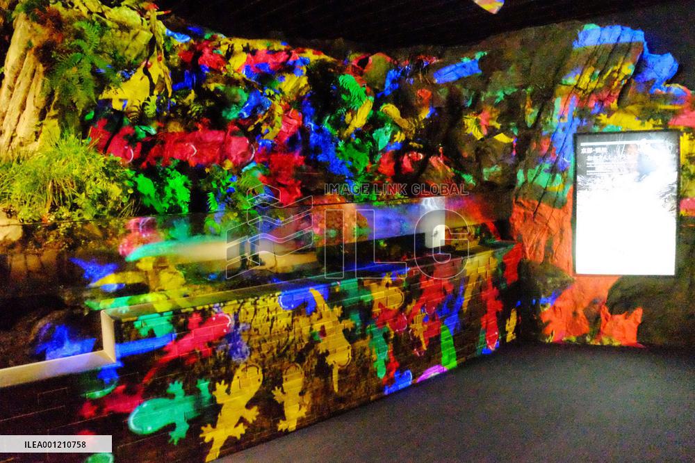 Colorful salamander images shown at 3D projection event