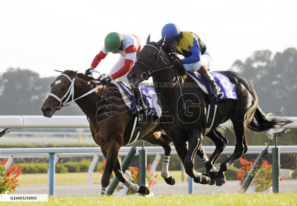 Danon Shark wins Mile Championship in record time