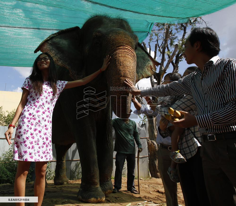 Cambodia's celebrated elephant Sambo to retire soon