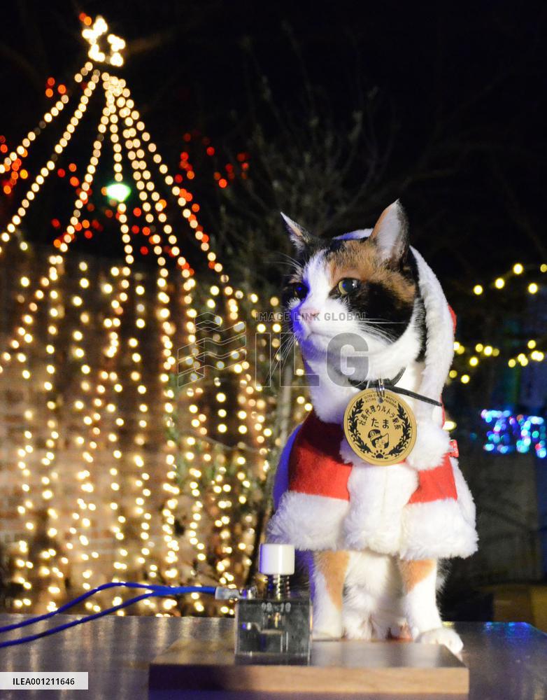 'Station master' Tama lights up Xmas illumination