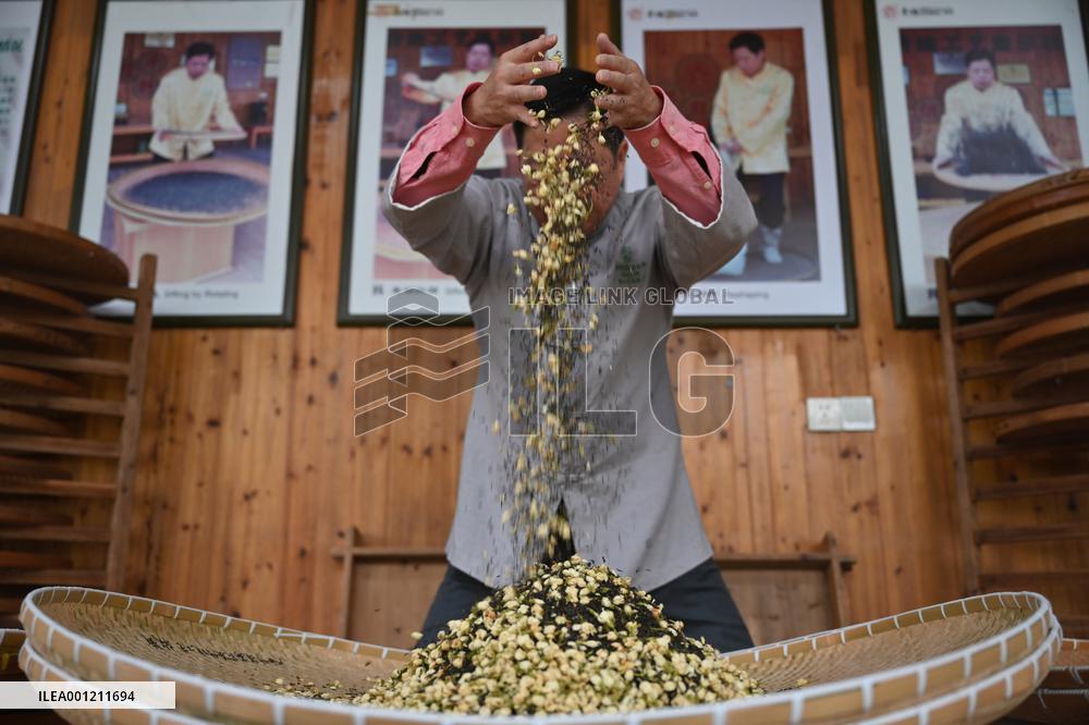 CHINA-FUJIAN-FUZHOU-JASMINE TEA-SCENTING PROCESS (CN)