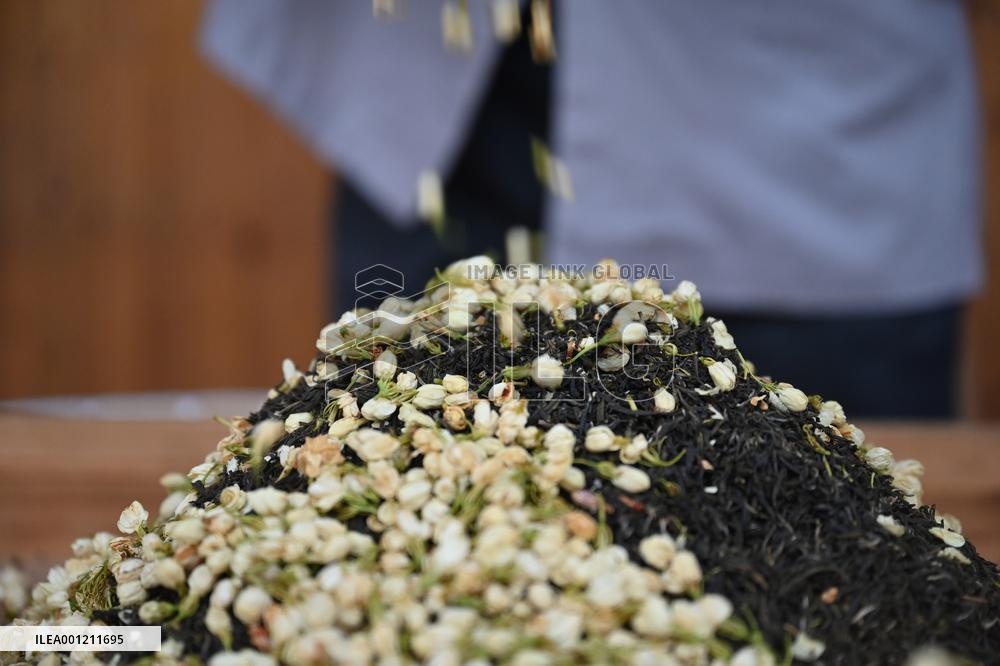 CHINA-FUJIAN-FUZHOU-JASMINE TEA-SCENTING PROCESS (CN)