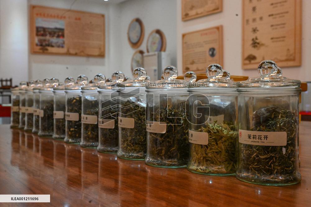 CHINA-FUJIAN-FUZHOU-JASMINE TEA-SCENTING PROCESS (CN)