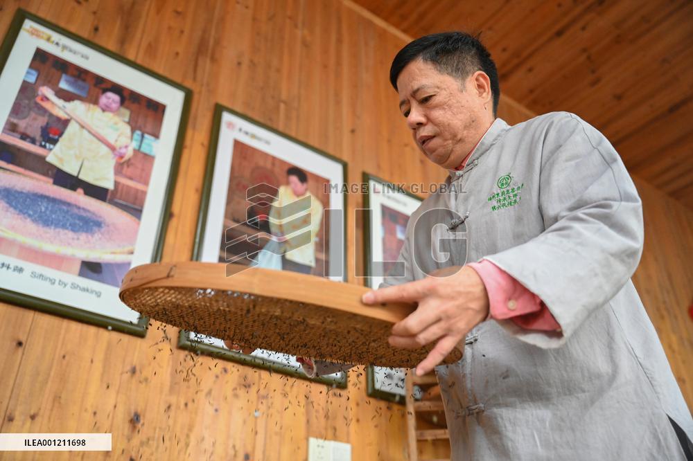 CHINA-FUJIAN-FUZHOU-JASMINE TEA-SCENTING PROCESS (CN)