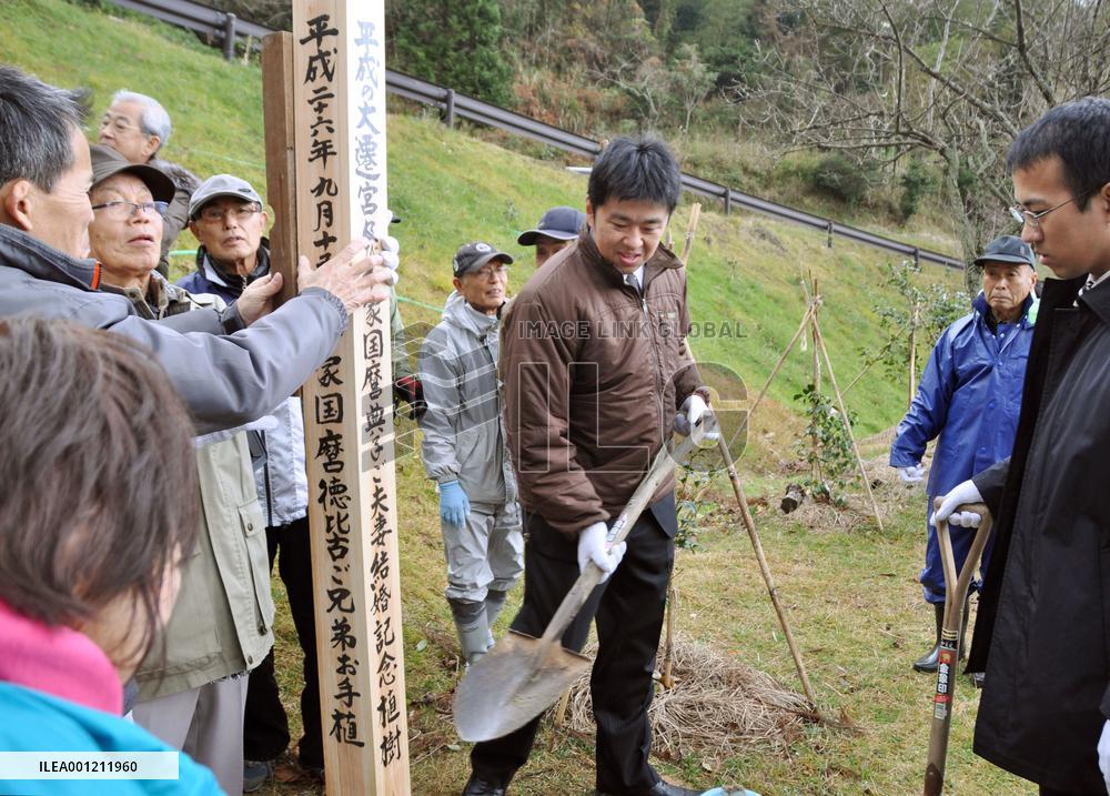 Memorial pole built beside marriage celebrating tree