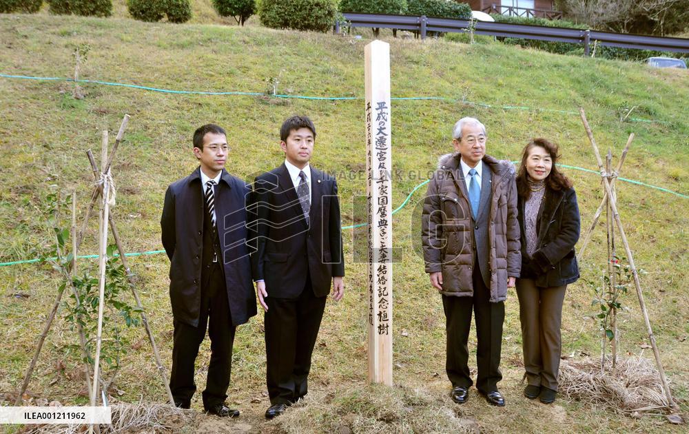 Memorial pole built beside marriage celebrating tree