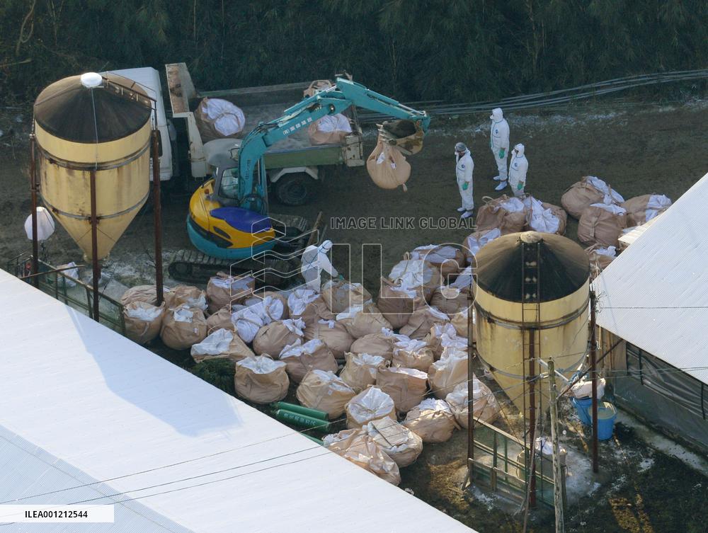 Bird flu virus detected in Miyazaki, 2nd case this winter