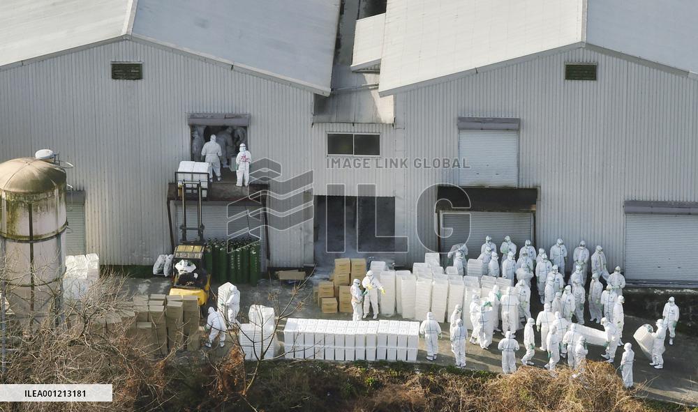 Massive chicken cull begins in western Japan