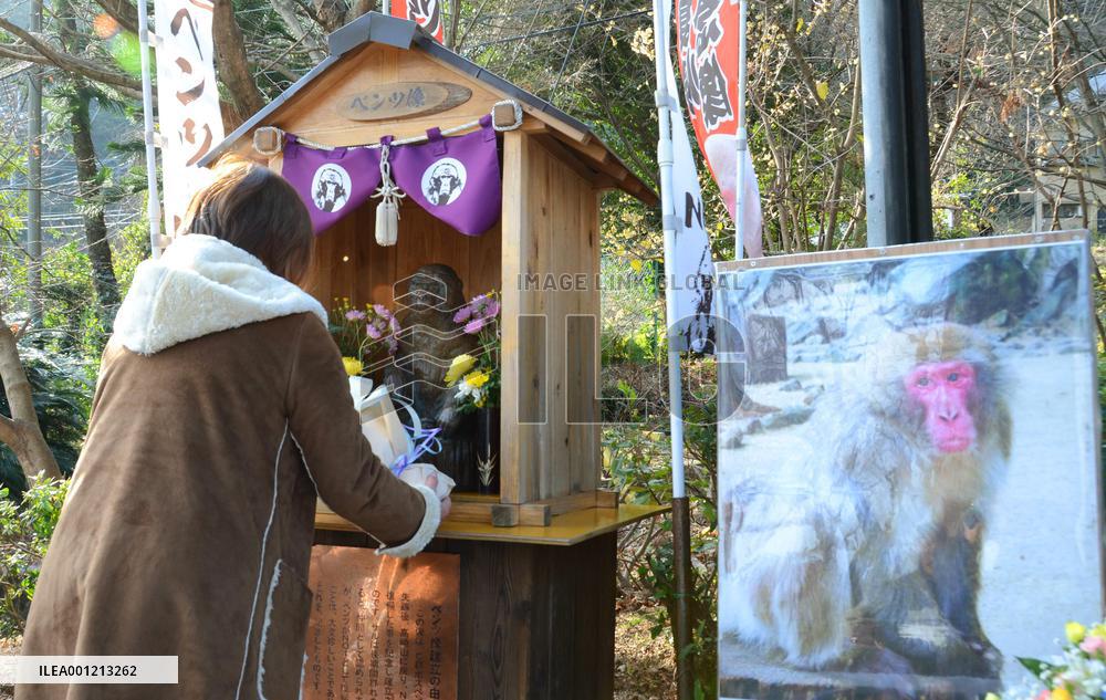 Legendary boss monkey remembered at Japan zoo