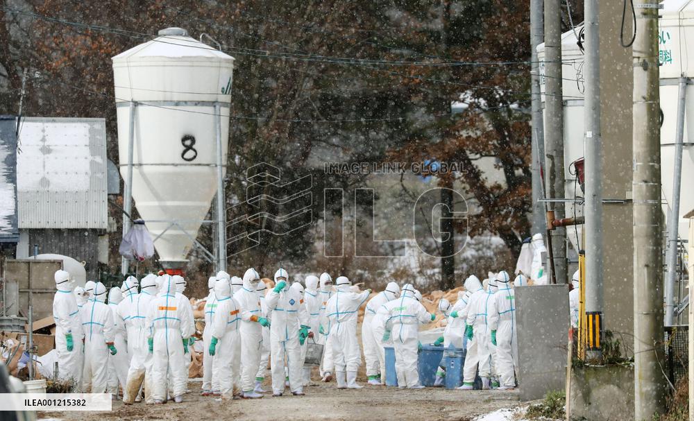 Bird flu strain detected in ducks in Aomori