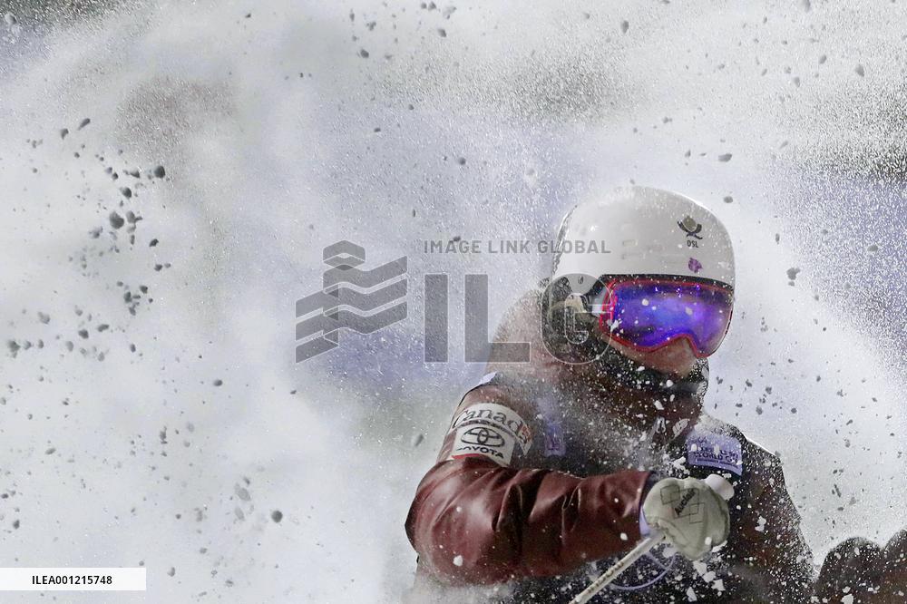 Canadian freestyle skier