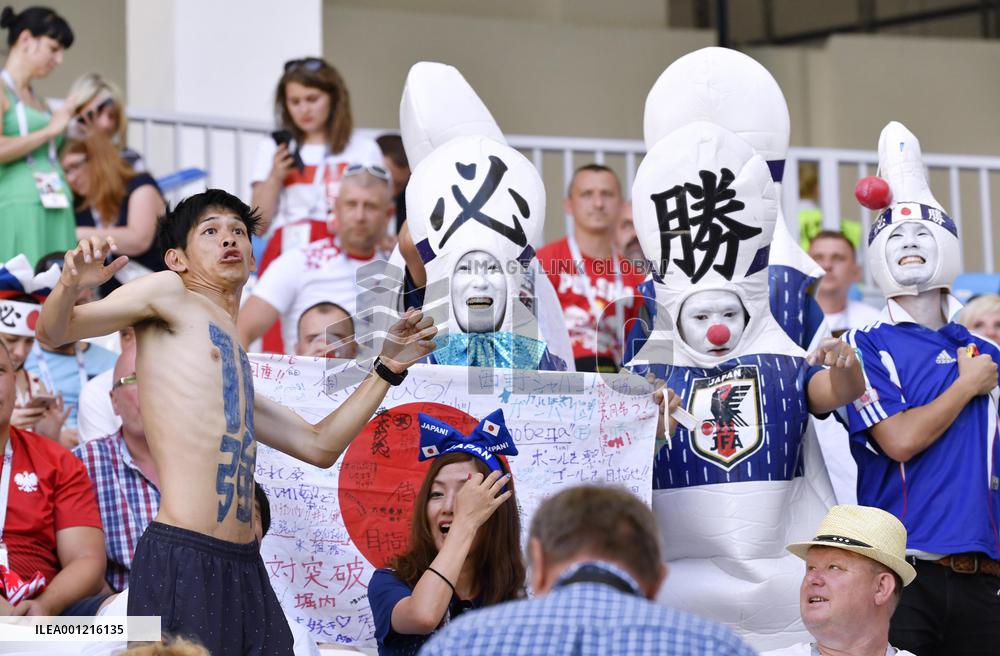 Football: Fans at World Cup