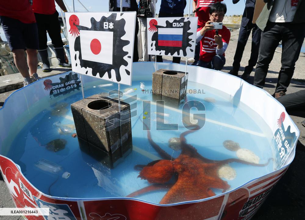 Octopus "predicts" Japan rugby team's performance at World Cup