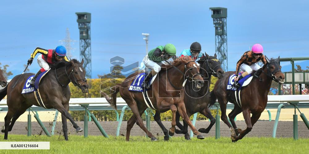 Horse racing: Takamatsunomiya Kinen G1 race