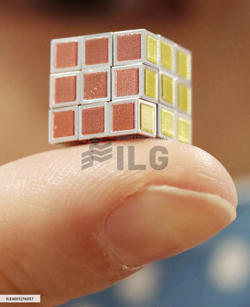 World's tiniest Rubik's Cube puzzle