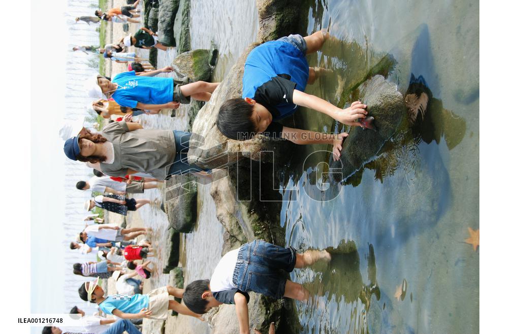 Hands-on aquariums opening across the country