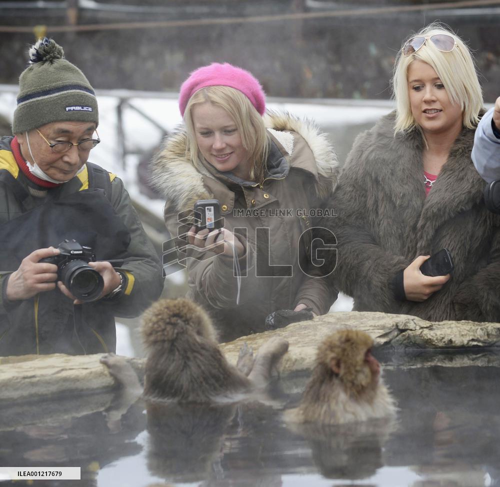 Monkeys in hot spring