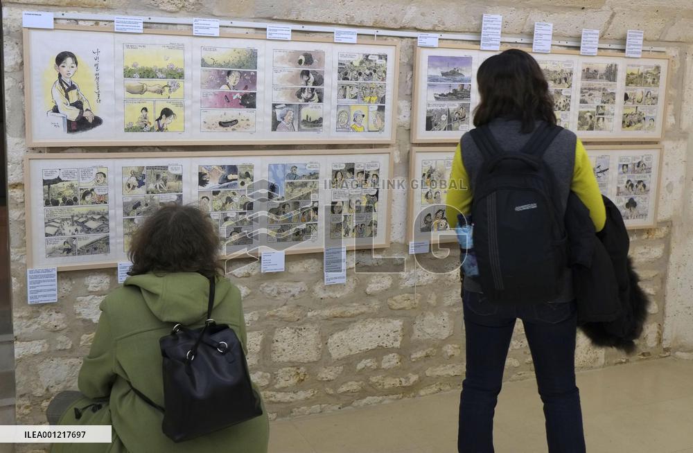 Comic book festival in France