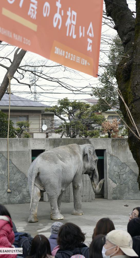 Japan's oldest elephant