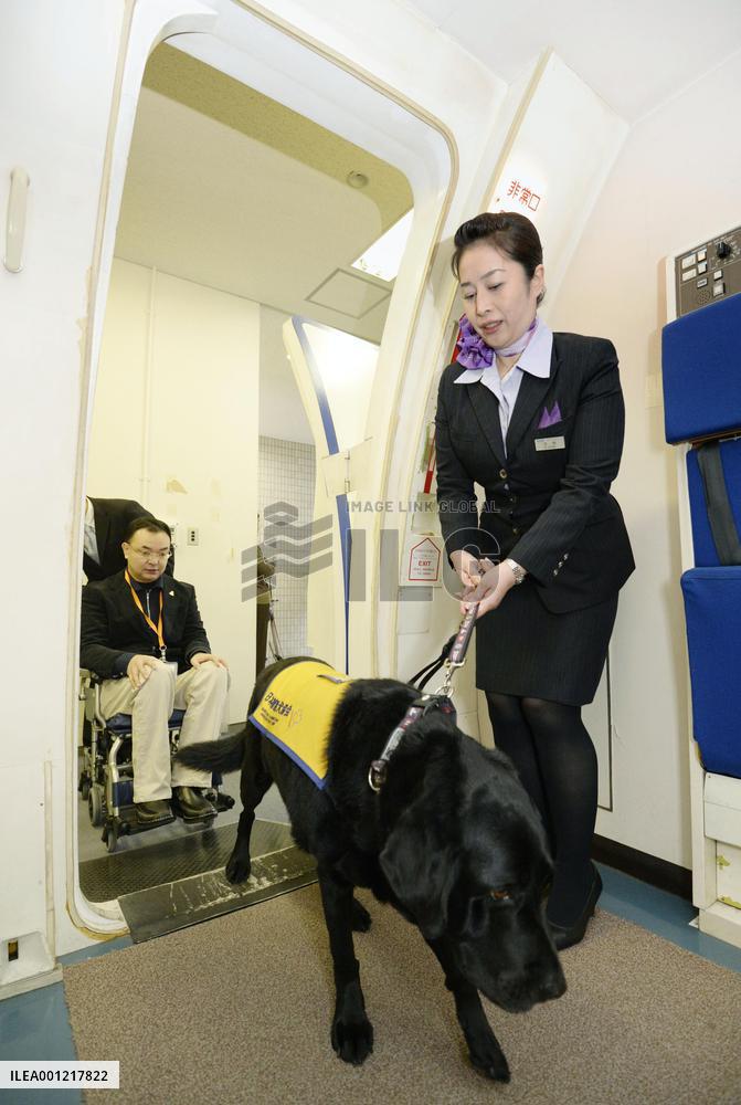 Trainee assistance dog boards plane at ANA training center