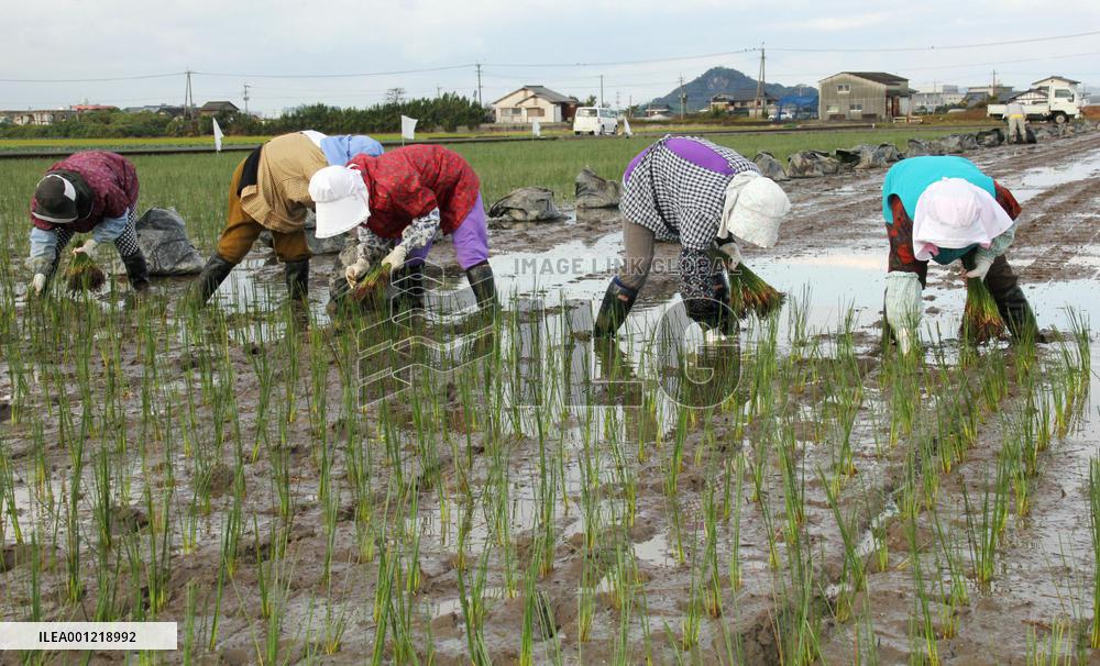 Kumamoto thrilled by possible use of tatami in Olympics