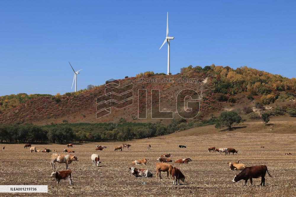 CHINA-HEBEI-NEW ENERGY (CN)